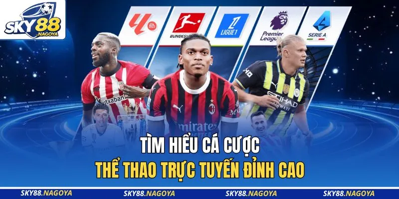 Tìm hiểu cá cược thể thao trực tuyến đỉnh cao